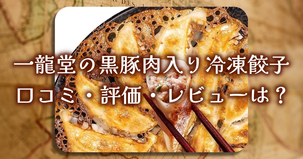 一龍堂の黒豚肉入り冷凍餃子100個入り!口コミ・評価・レビューは?